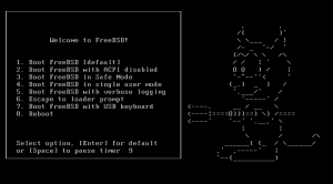 FreeBSD single user mode screen